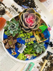 深圳花艺沙龙 以芬芳为纽带，深化客户情谊的聚会与花艺工程