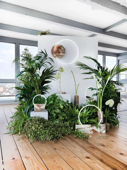 花艺工程中店铺外包装的必要性 美学、品牌与商业价值的融合