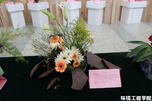 我院成功举办首届花艺作品展 花艺工程