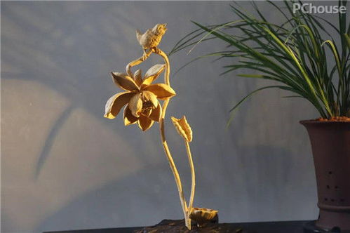 广州看展灵感 精选软装与景观工程，家居设计瞬间提升高级感