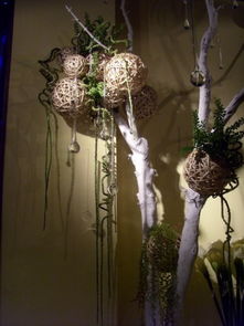 老狼花艺婚庆 经典花艺软装饰设计与景观工程的一站式服务