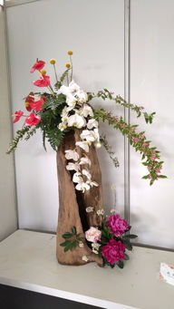 探春上海植物园 二十一项花艺工程的匠心与自然之美