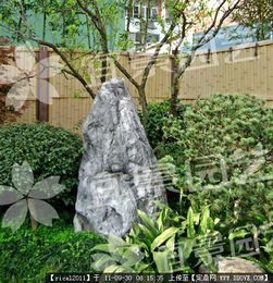 花架景观 从效果图到施工图纸的园林艺术之旅